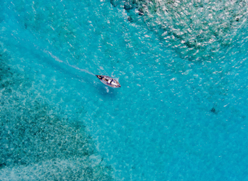 Embracing Big Data and Data Transparency in Healthcare Research and Practice cover image