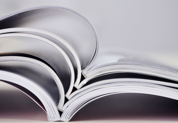 Journal Supplements: Salient Features, Challenges, and Future Trends