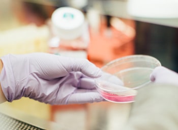 Scientist working at lab